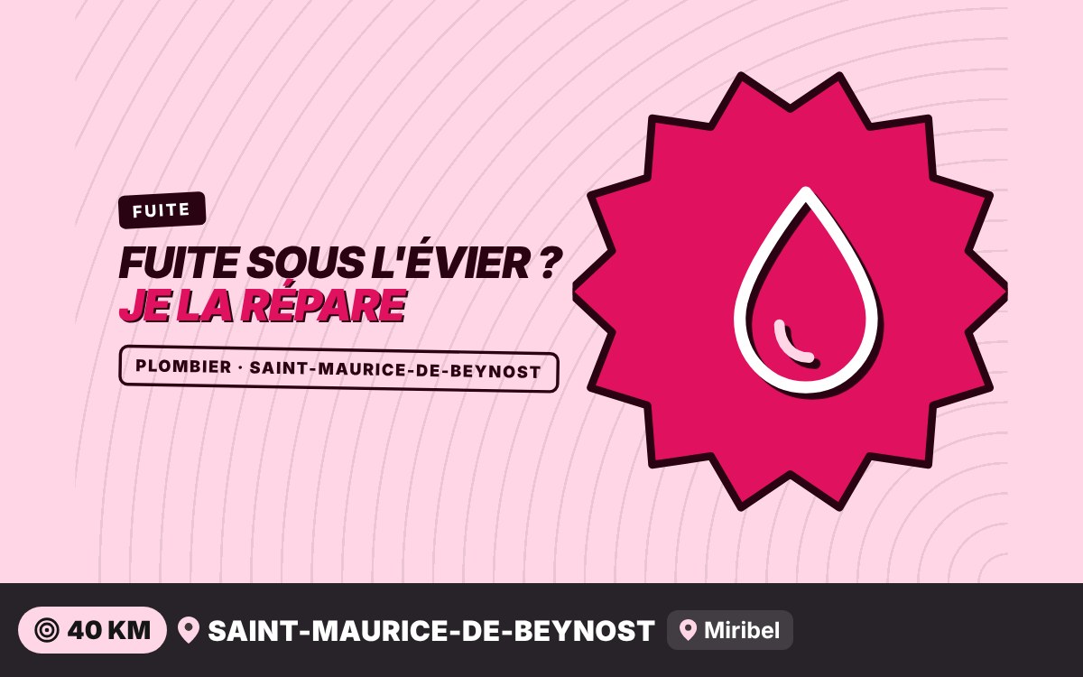 Je vais réparer la fuite d'eau sous votre évier à L'Isle-d'Abeau