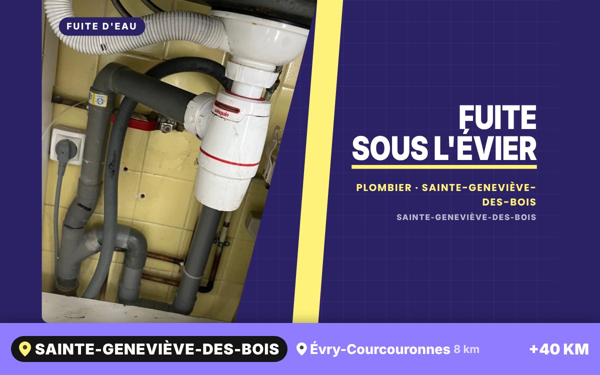 Je vais réparer la fuite sous votre évier à Chelles