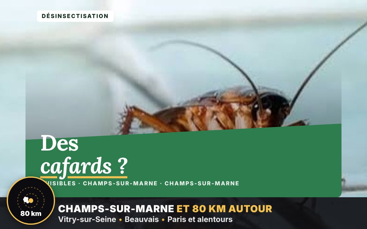 Je vais vous débarrasser des cafards et des blattes à Paris
