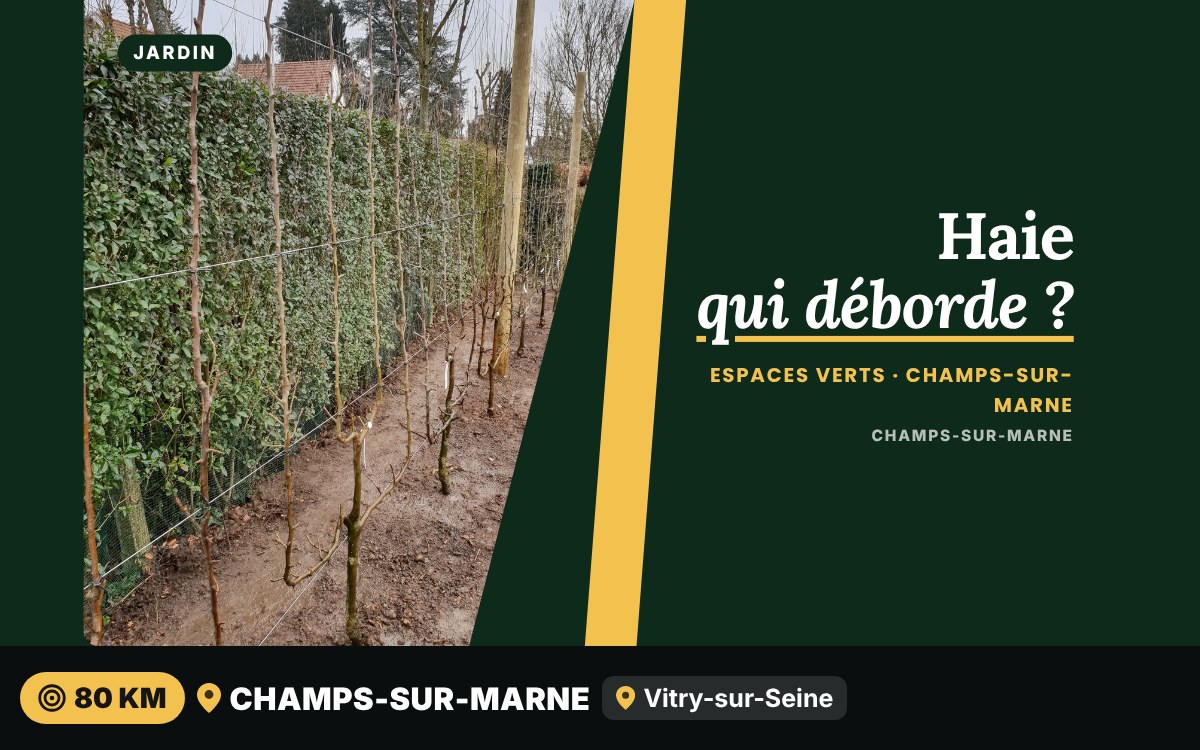 Je vais tailler vos haies et vos arbustes à Chartres