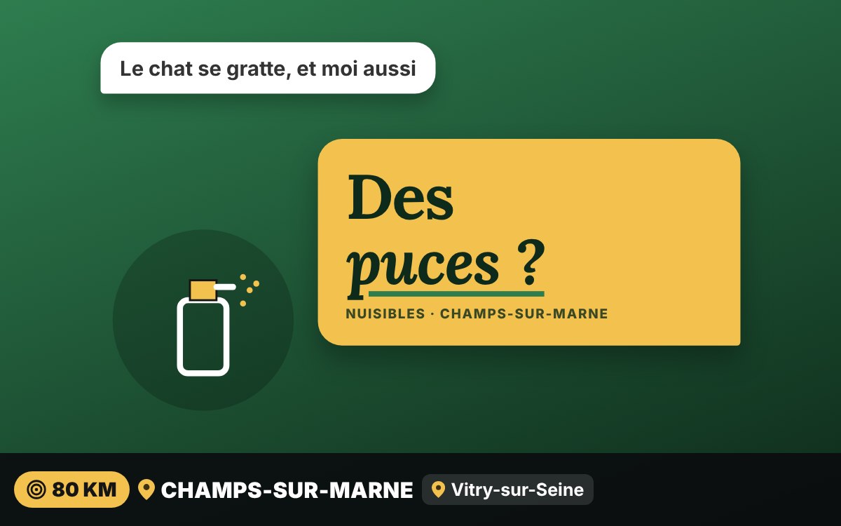 Je vais vous débarrasser des puces à Sens