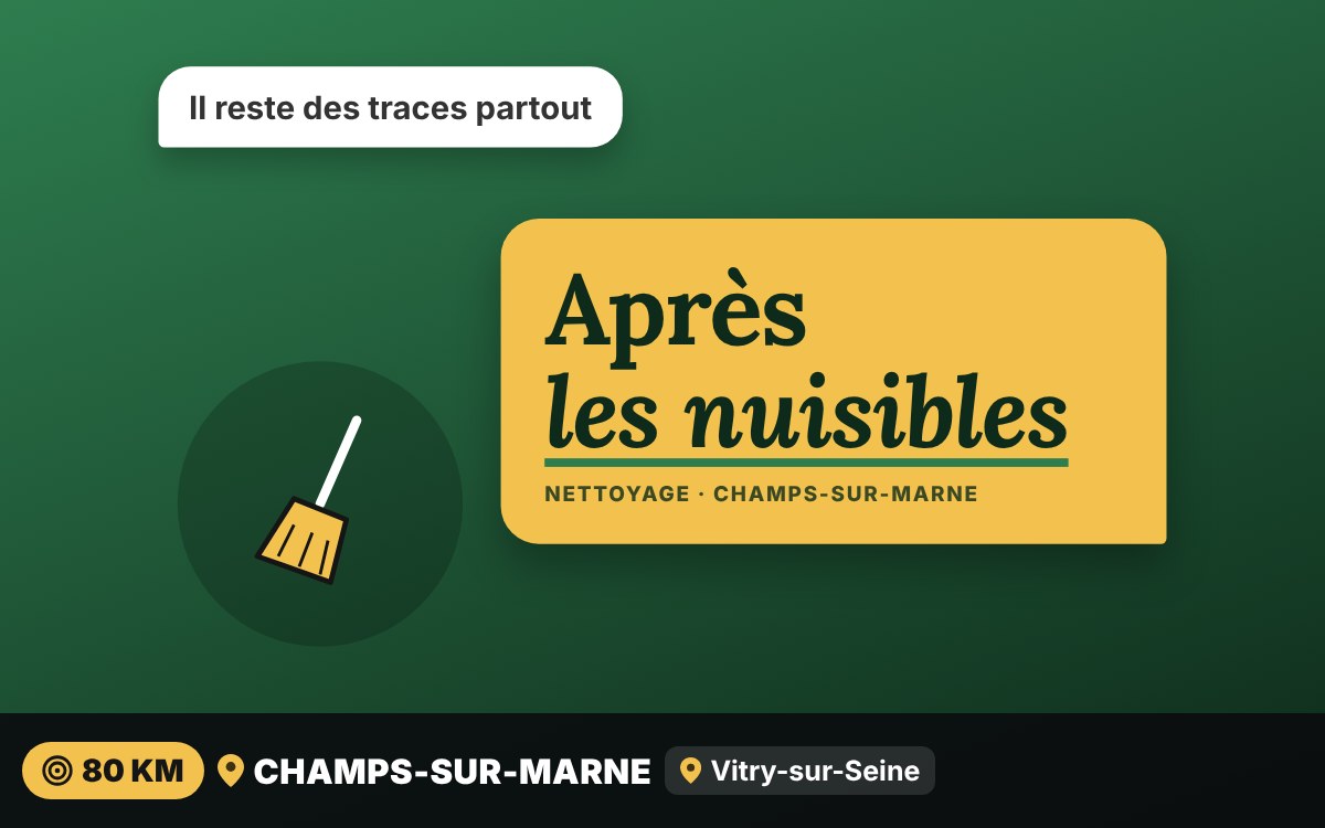 Je vais faire le nettoyage après une infestation à Chartres