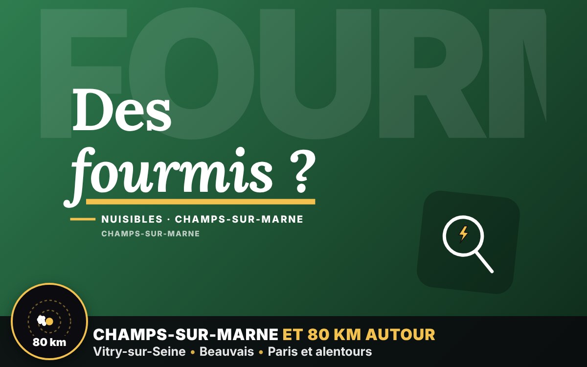 Je vais vous débarrasser de l'invasion de fourmis à Chartres