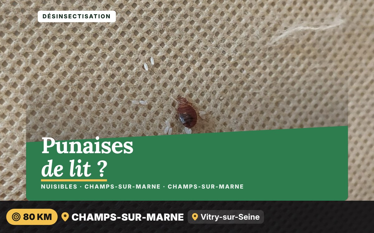 Je vais vous débarrasser des punaises de lit à Paris