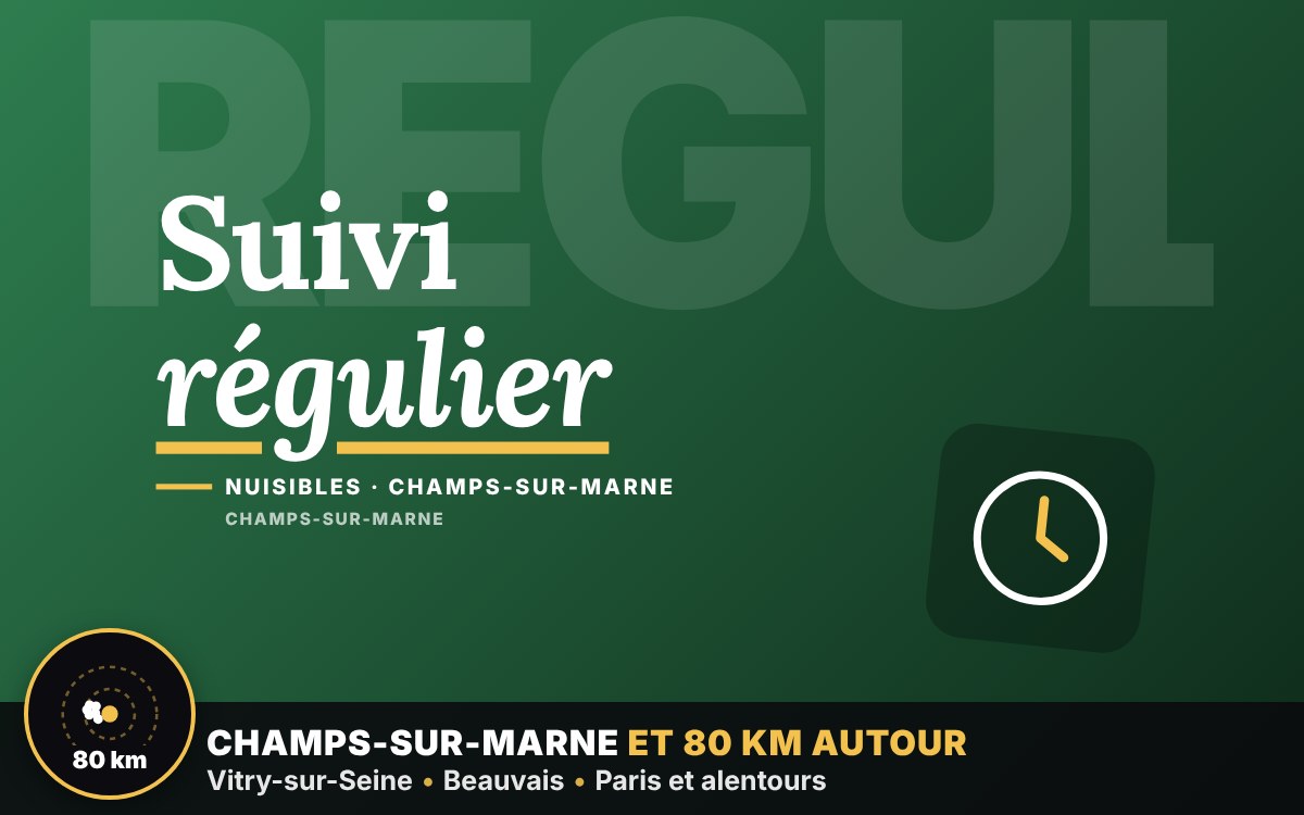 Je vais assurer le suivi anti-nuisibles de votre restaurant ou commerce à Chartres