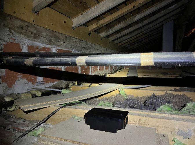 Dératisation professionnelle – Élimination des rats et souris à Alès