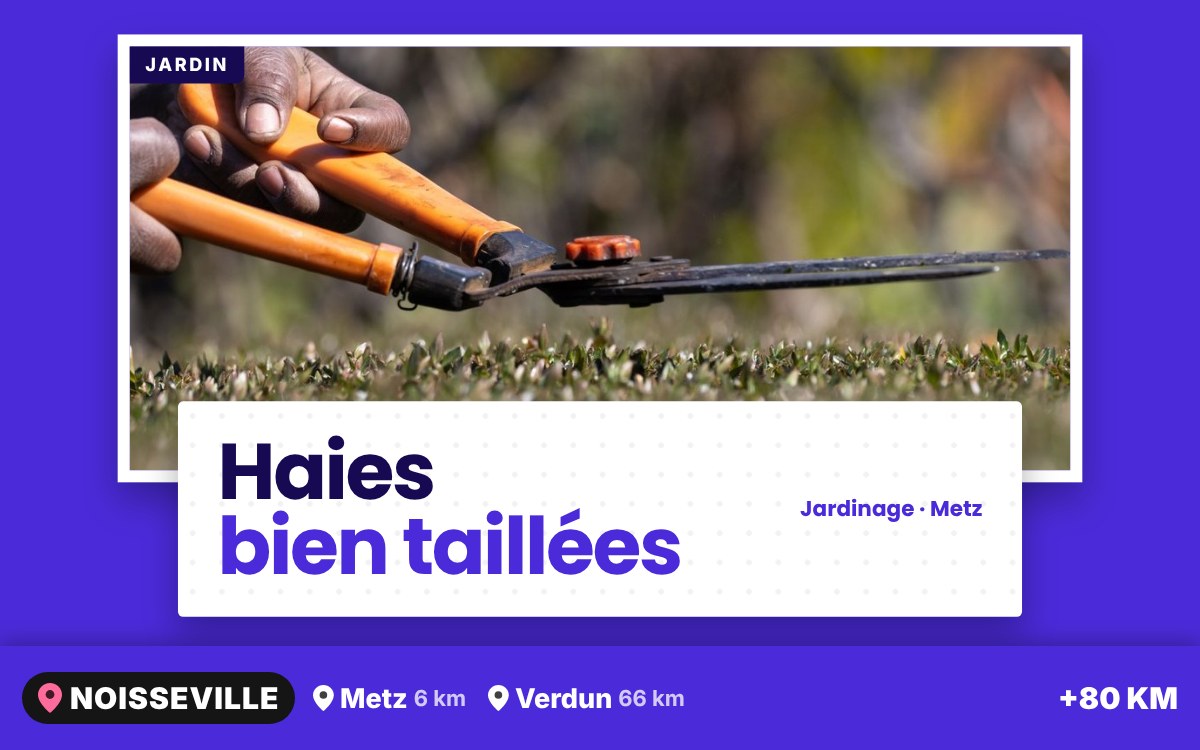 Notre équipe va tailler vos haies pour un jardin net et bien dessiné à Nancy