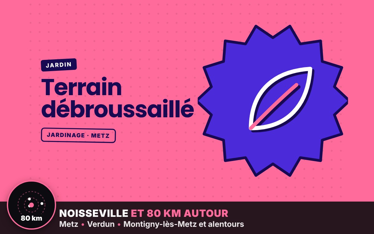 Notre équipe va débroussailler votre terrain envahi par la végétation à Nancy