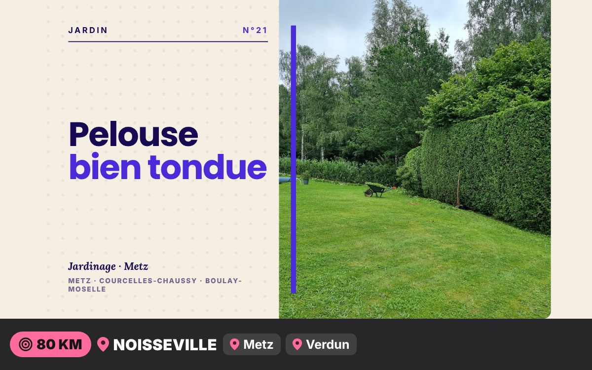 Notre équipe va tondre votre pelouse et entretenir votre jardin à Nancy